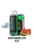 WATERMELON ICE