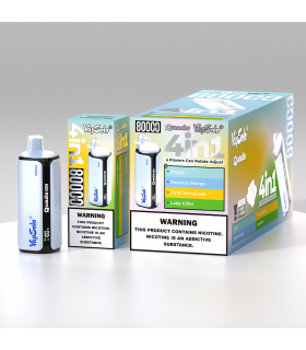Vapsolo Quads 80000 Puffs Mojito & Monster Mango | 4 Tat Tek Cihazda